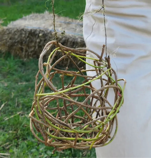 Initiez-vous à la vannerie sauvage - Image n°3 - Wecandoo