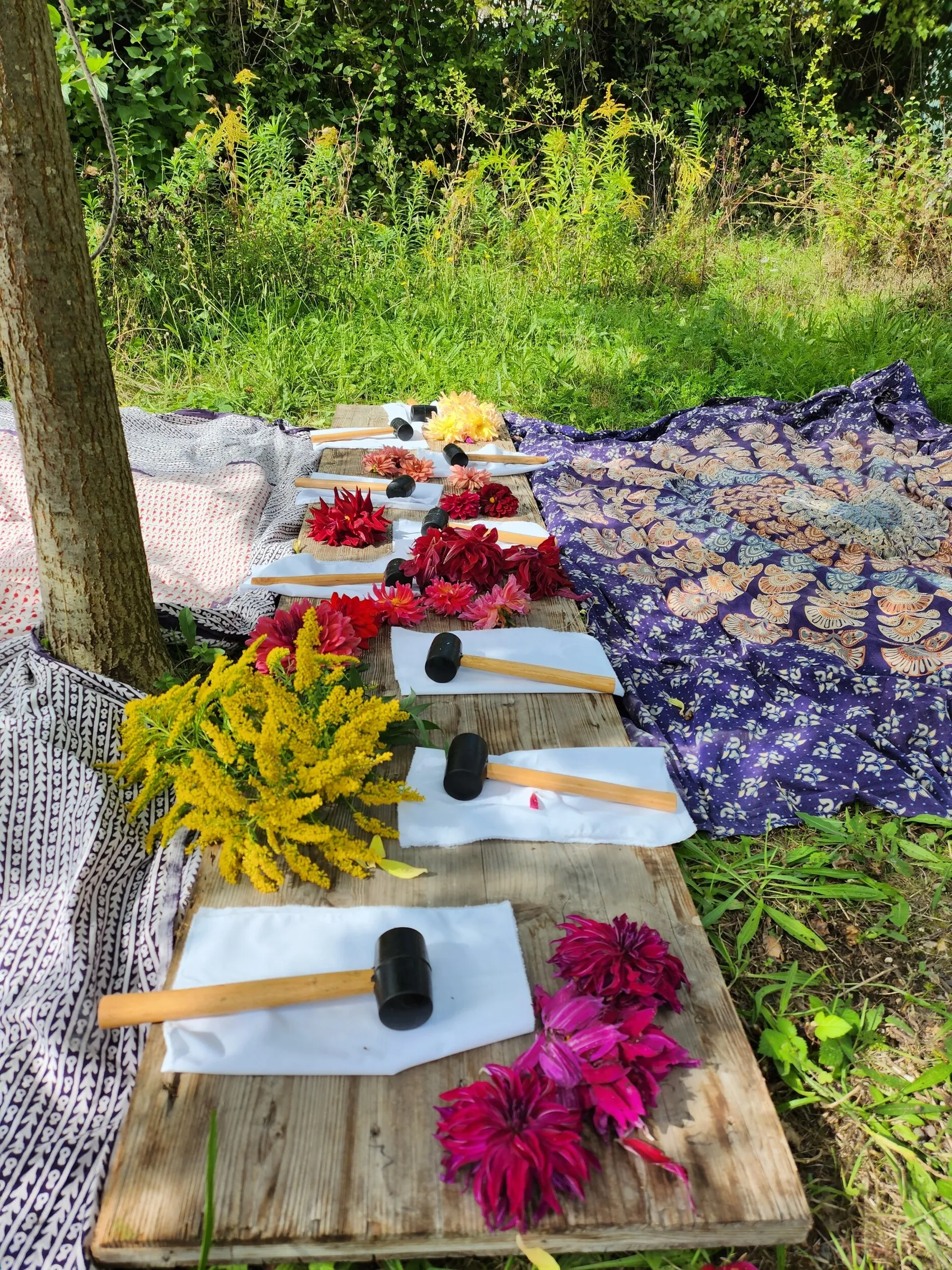 Initiez-vous à l'impression végétale - Image n°4 - Wecandoo