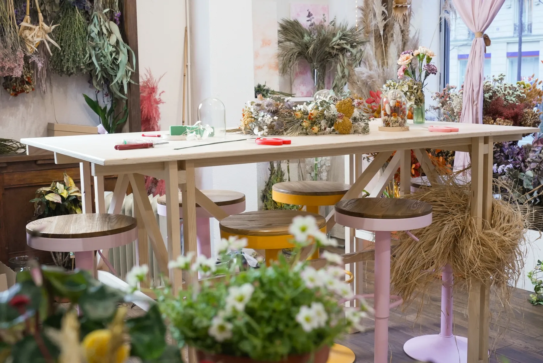 Composez votre grand terrarium - Image n°1 - Wecandoo