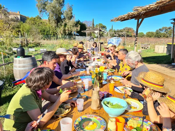 Initiez-vous à la permaculture sur une journée - Image n°3 - Wecandoo