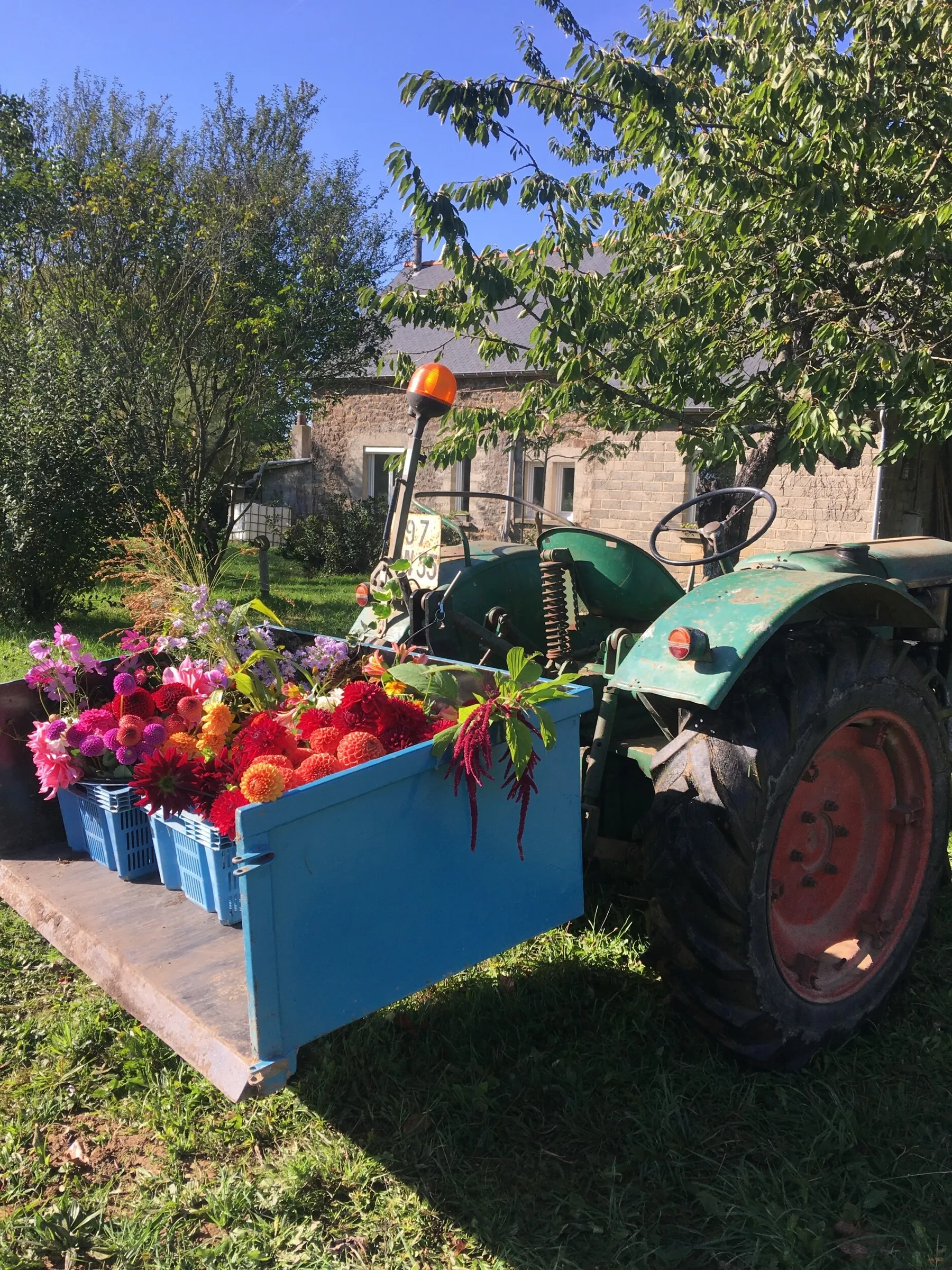 Passez une journée dans une ferme florale - Image n°1 - Wecandoo