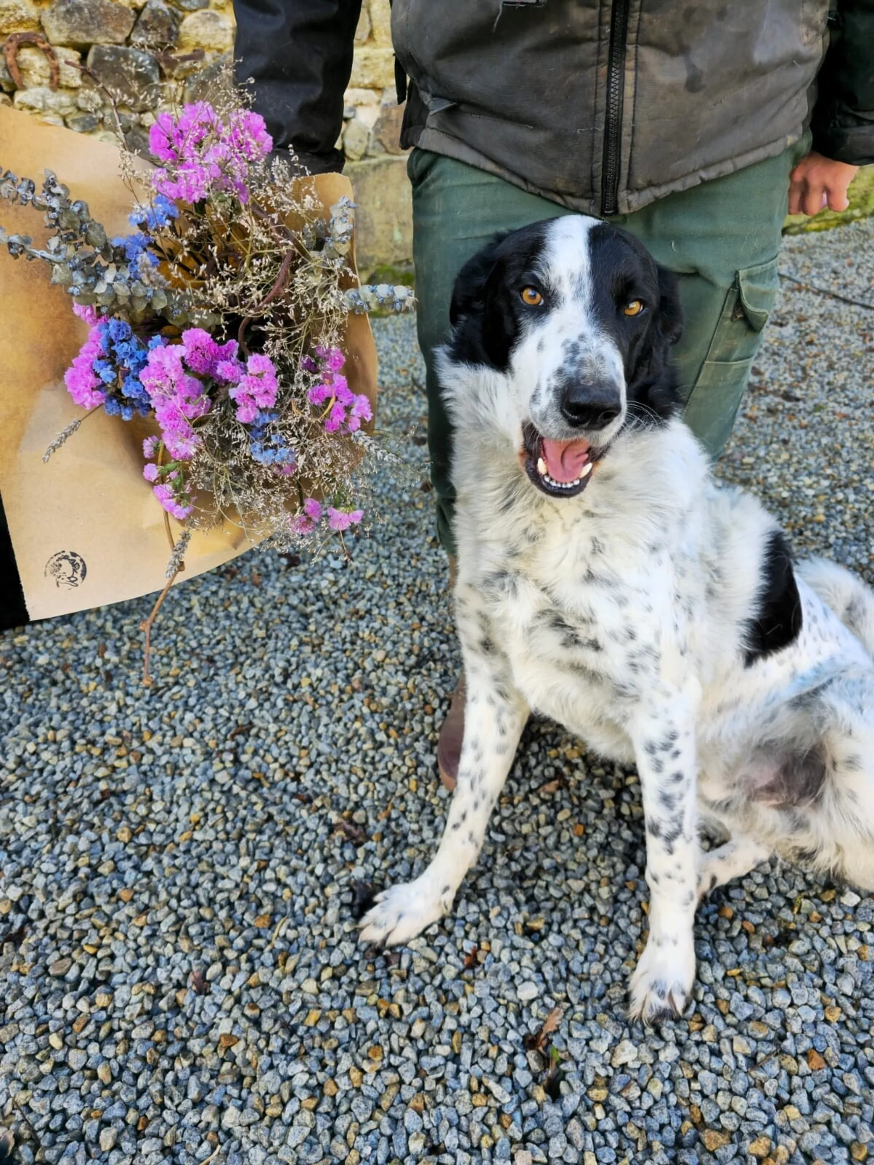 Passez une journée dans une ferme florale - Image n°3 - Wecandoo