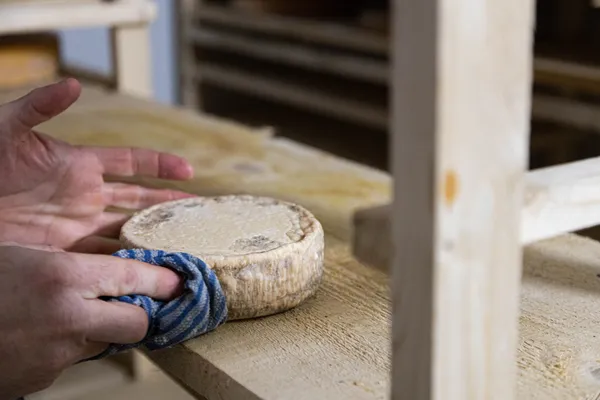 Fabriquez votre tomme de Nancy bio avec Matthieu - Image n°2 - Wecandoo