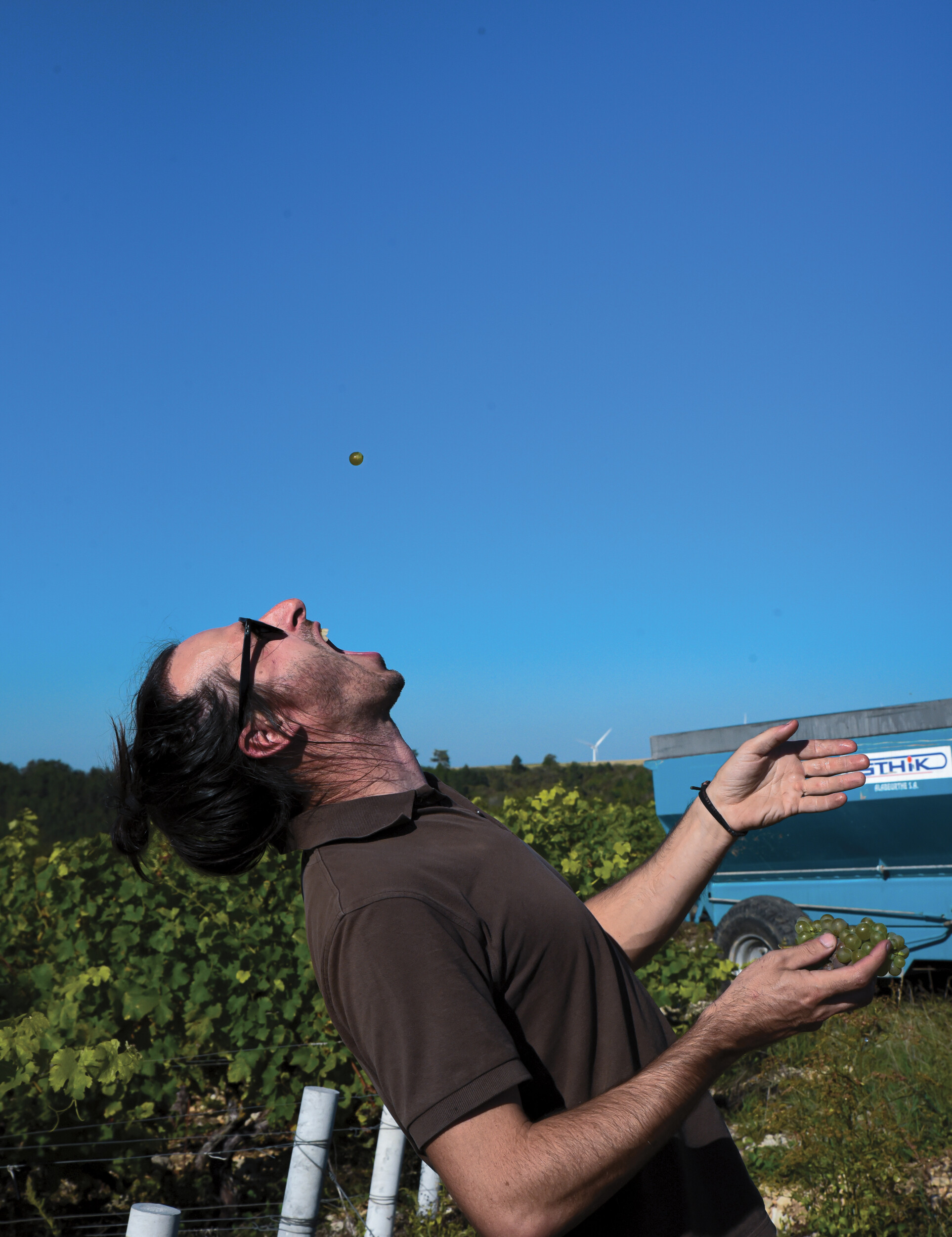 Wecandoo - Visitez un vignoble en Bourgogne et dégustez du vin - Image n°7