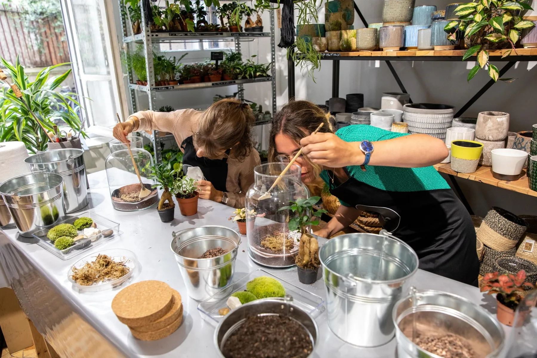 Créez vos terrariums avec votre enfant - Image n°1 - Wecandoo