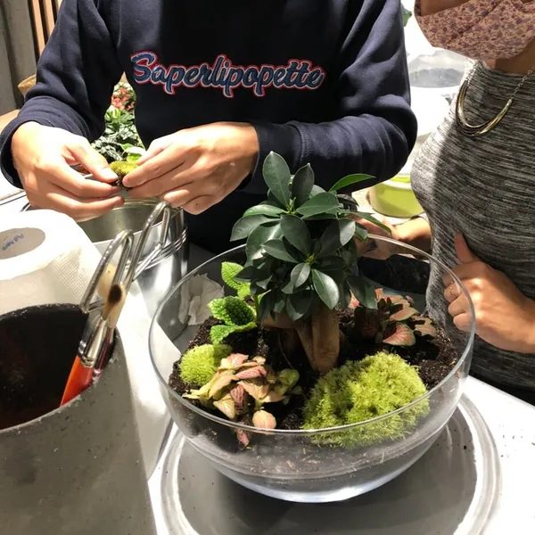 Créez vos terrariums avec votre enfant - Afbeelding nr. 2 - Wecandoo