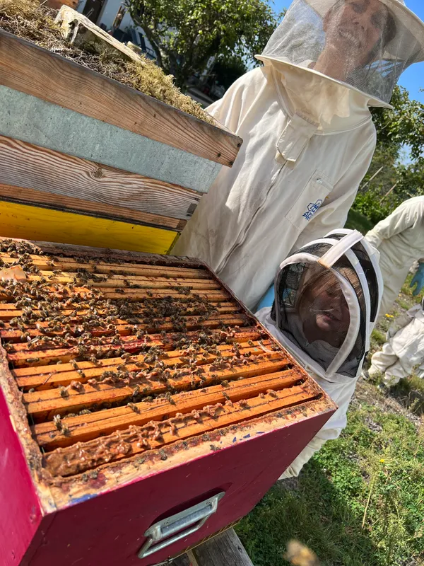 Créez vos cosmétiques à la cire d'abeille - Image n°2 - Wecandoo