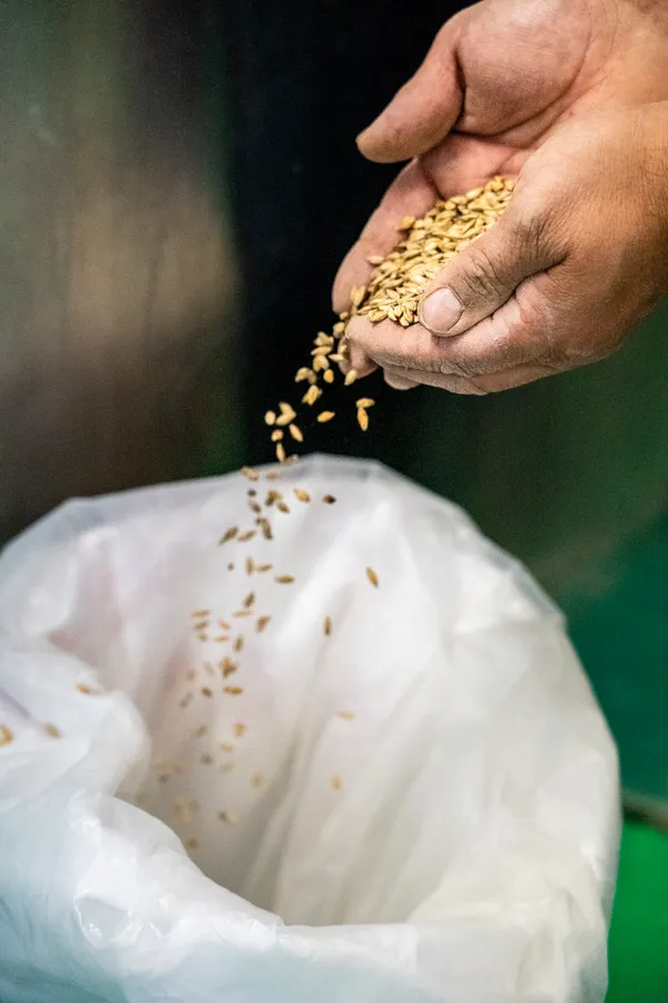 Initiez-vous au brassage de bière en groupe dans votre lieu - Image n°4 - Wecandoo