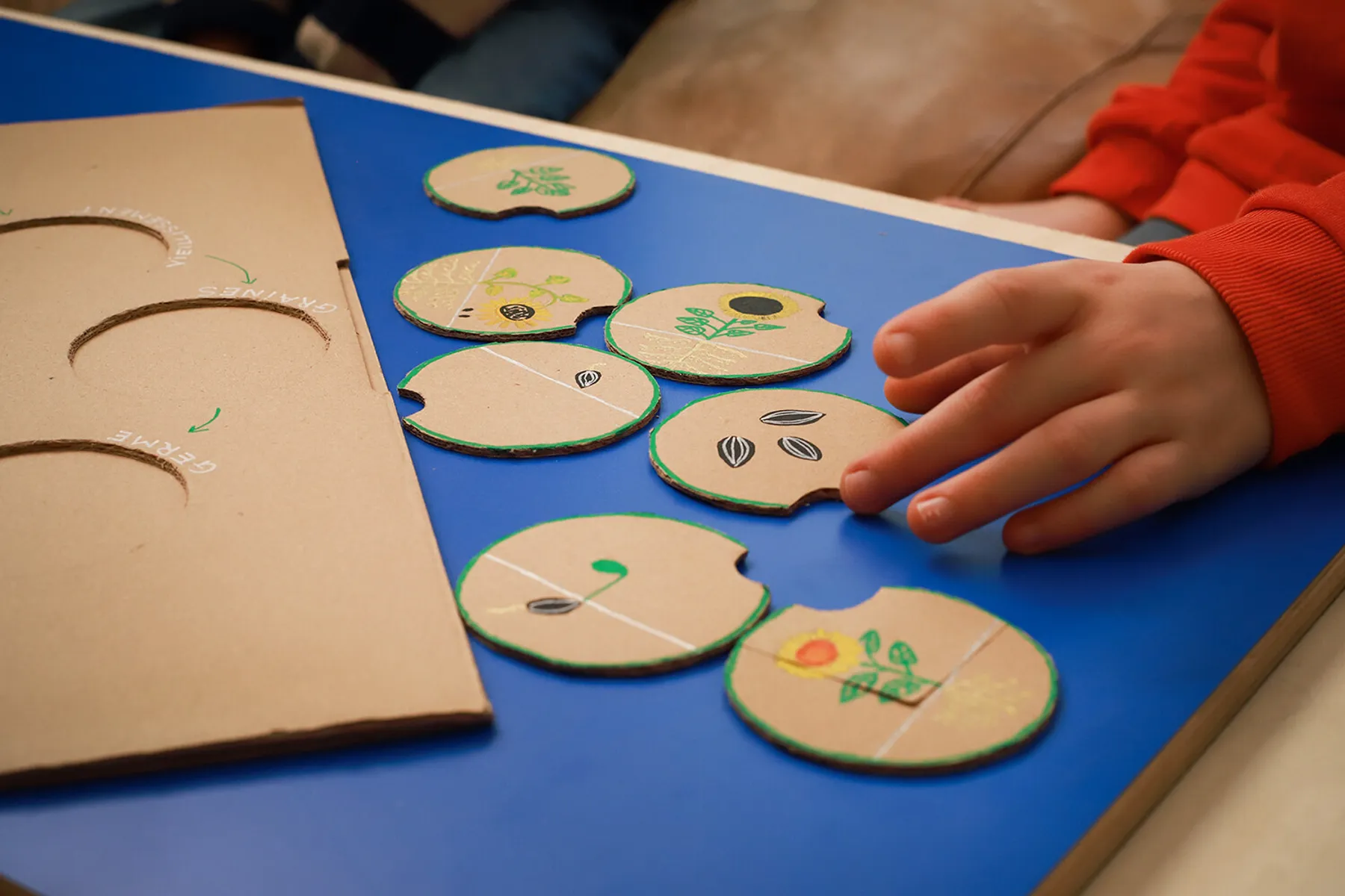 Graines_de_botaniste-6421.jpg - Wecandoo