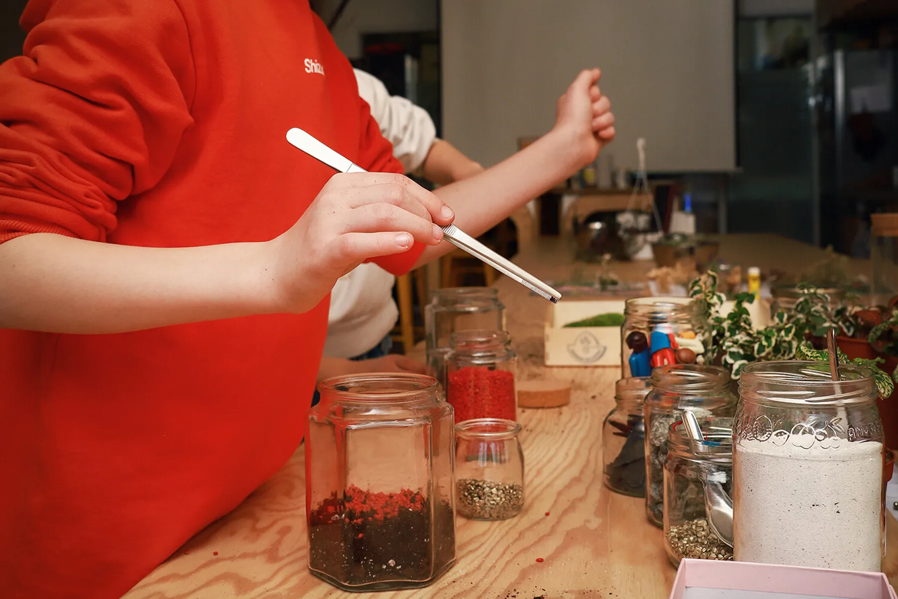 Graines_de_botaniste-6543.jpg - Wecandoo