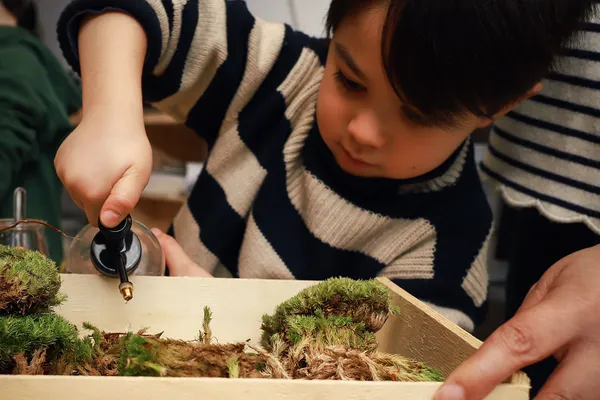 Composez votre terrarium unique en duo avec votre enfant - Image n°3 - Wecandoo
