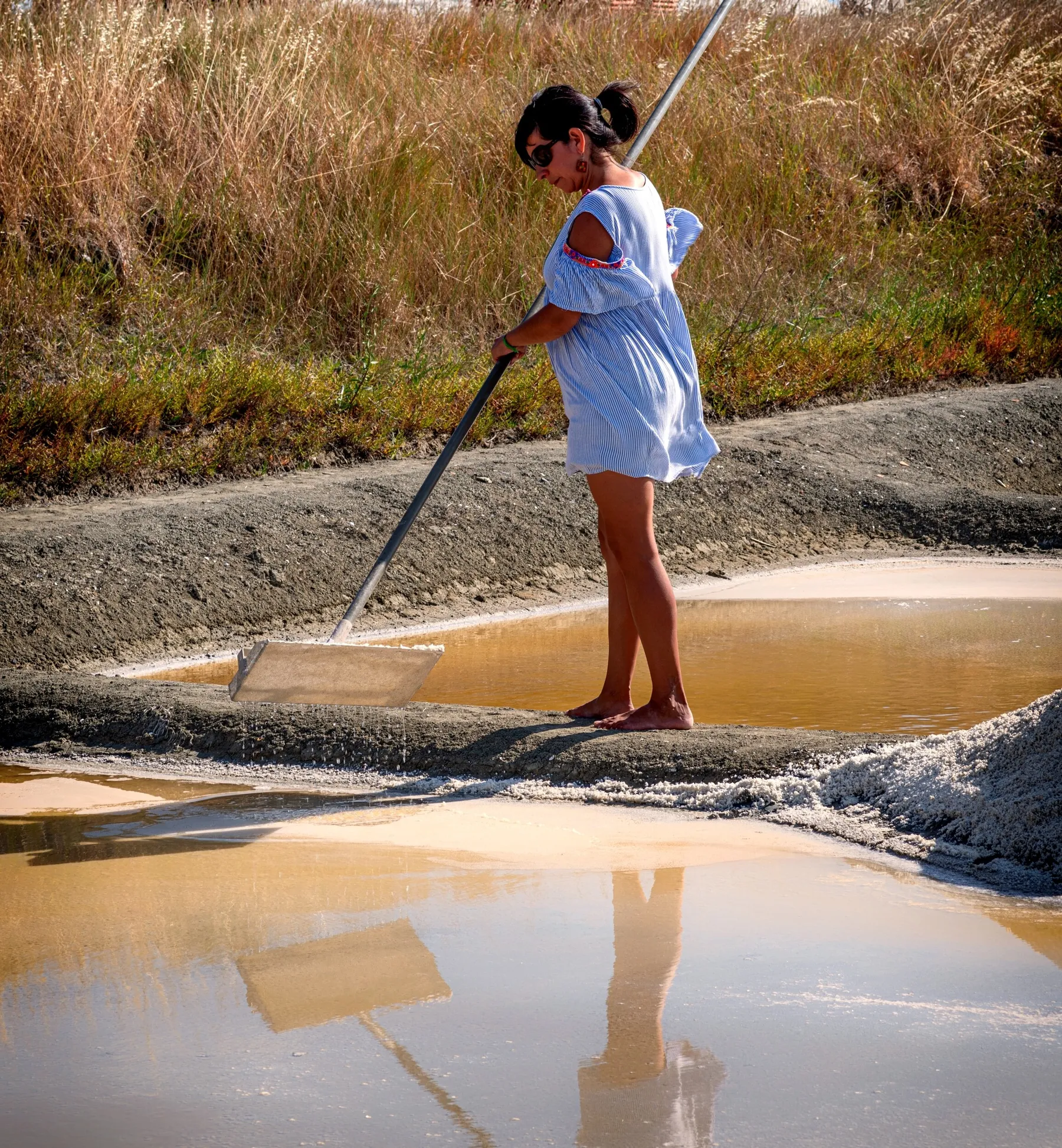 Découvrez et cuisinez les plantes halophiles - Image n°1 - Wecandoo