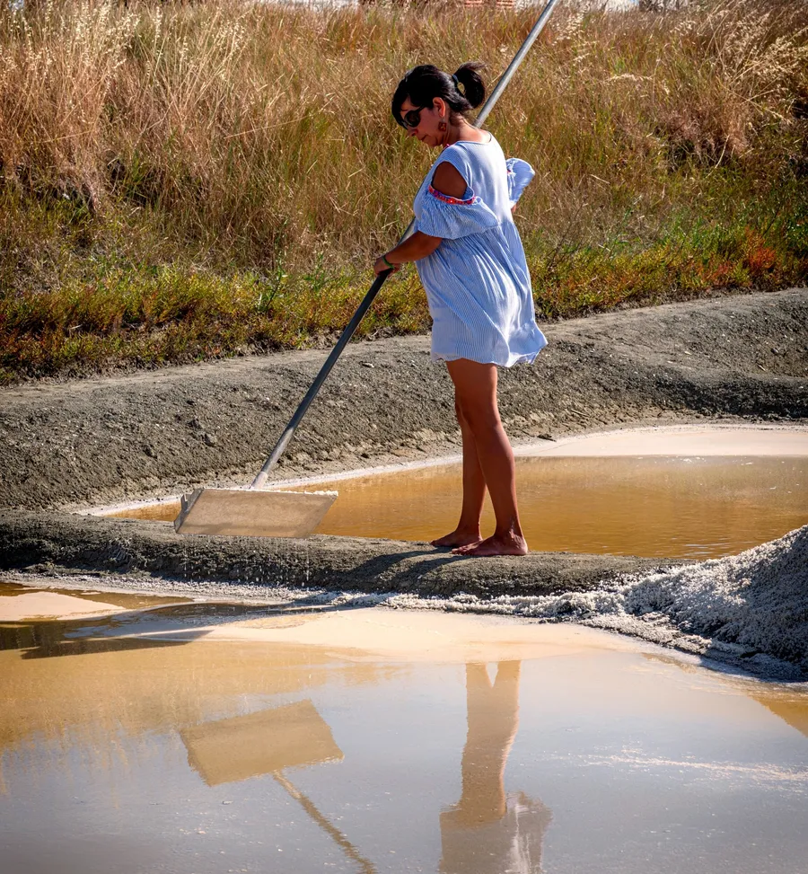 Découvrez et cuisinez les plantes halophiles - Image n°1 - Wecandoo