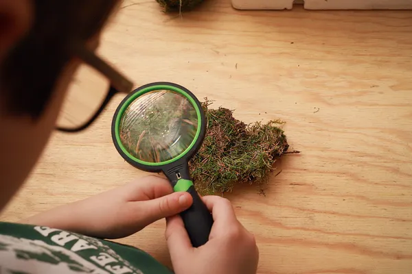 Composez votre kokedama unique en duo avec votre enfant - Afbeelding nr. 2 - Wecandoo