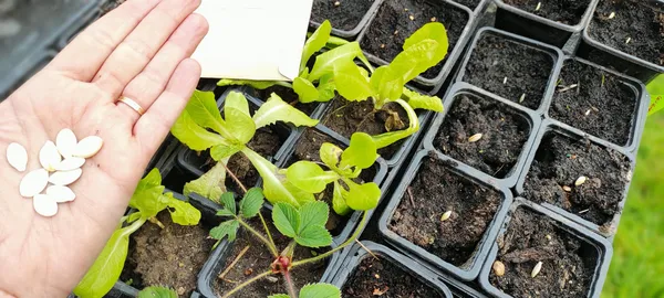 Initiez-vous à la permaculture - Image n°4 - Wecandoo