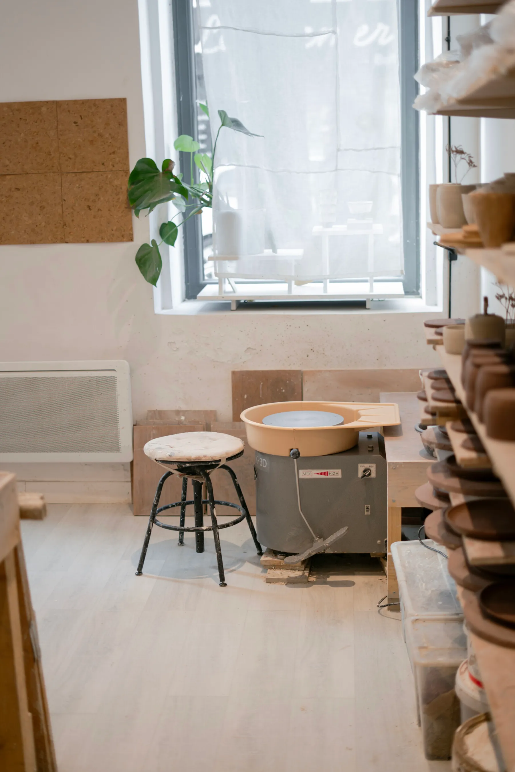 Modelez la vaisselle de votre animal de compagnie - Image n°2 - Wecandoo