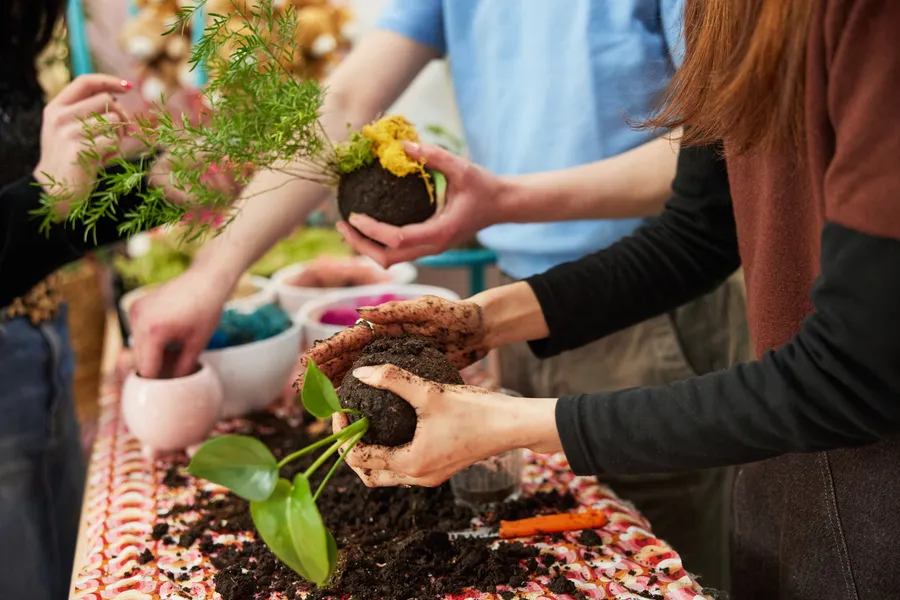 Confectionnez votre kokedama avec Lily - Afbeelding nr. 1 - Wecandoo