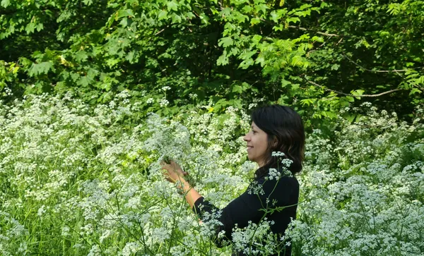 Découvrez les plantes sauvages comestibles de la Coulée verte - Image n°4 - Wecandoo