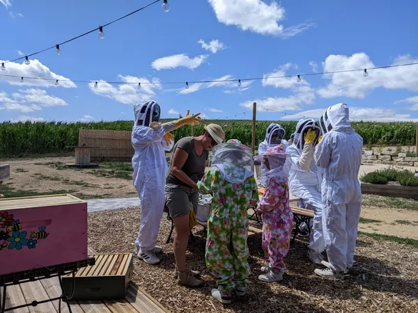 Découvrez l'apiculture et dégustez du miel et des boissons au miel en duo avec votre enfant - Image n°2 - Wecandoo
