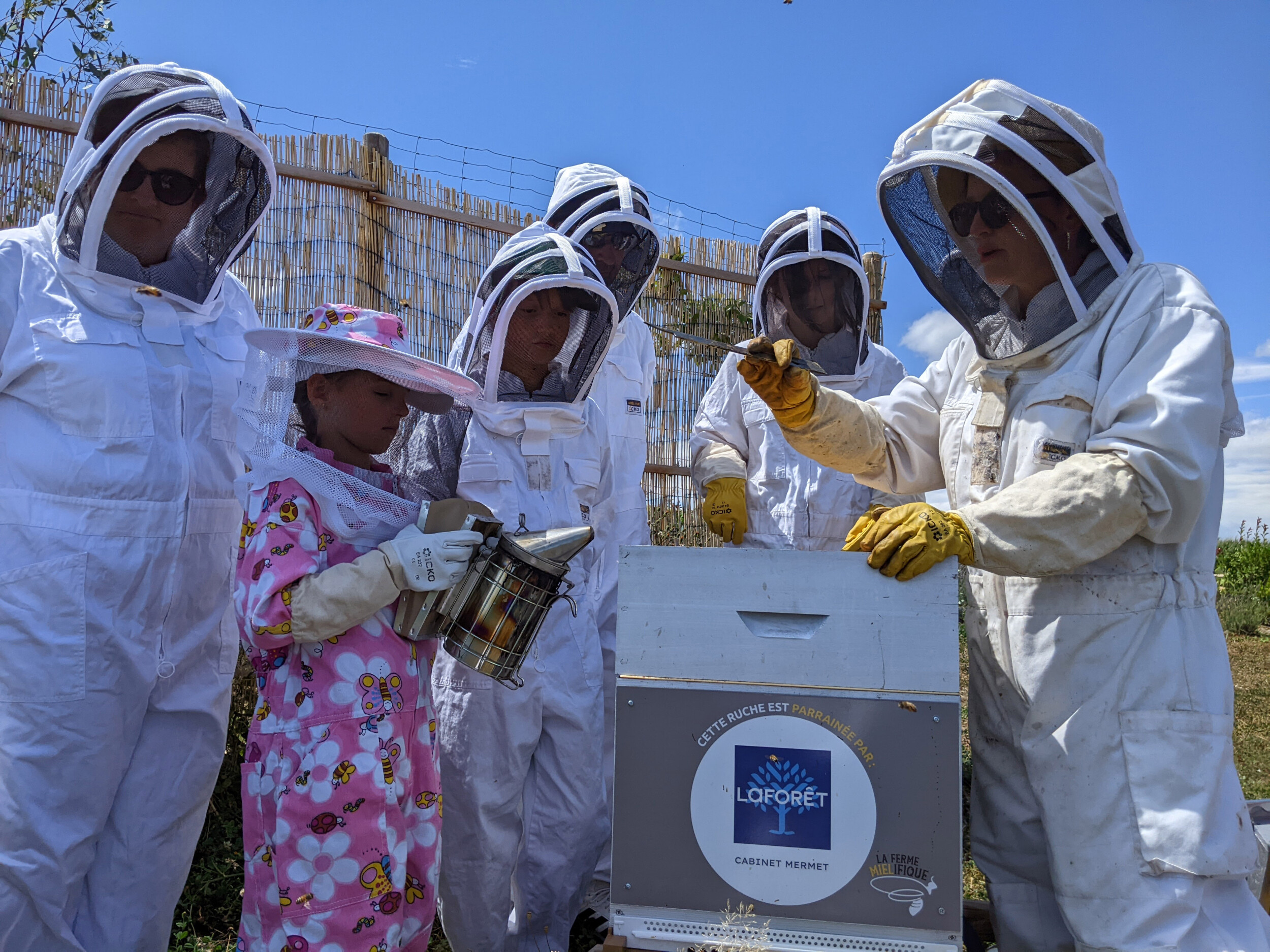 Wecandoo - Découvrez l'apiculture et dégustez du miel et des boissons au miel en duo avec votre enfant - Image n°7