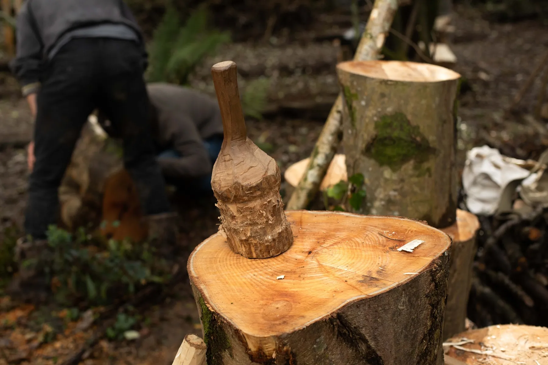Initiez-vous à la sculpture sur bois sur une journée dans le Finistère - Image n°4 - Wecandoo
