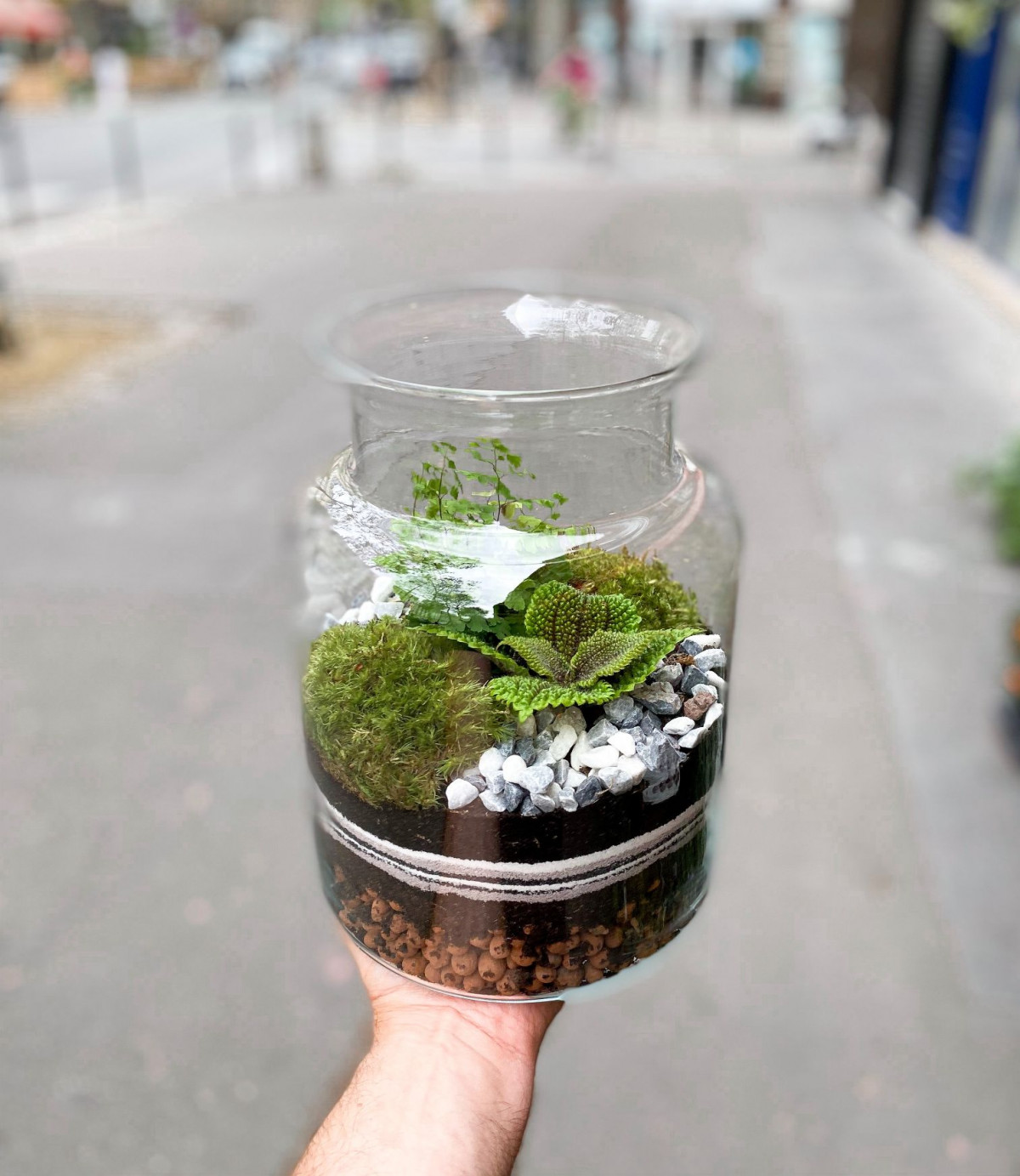 Wecandoo - Créez et composez votre terrarium (taille L)