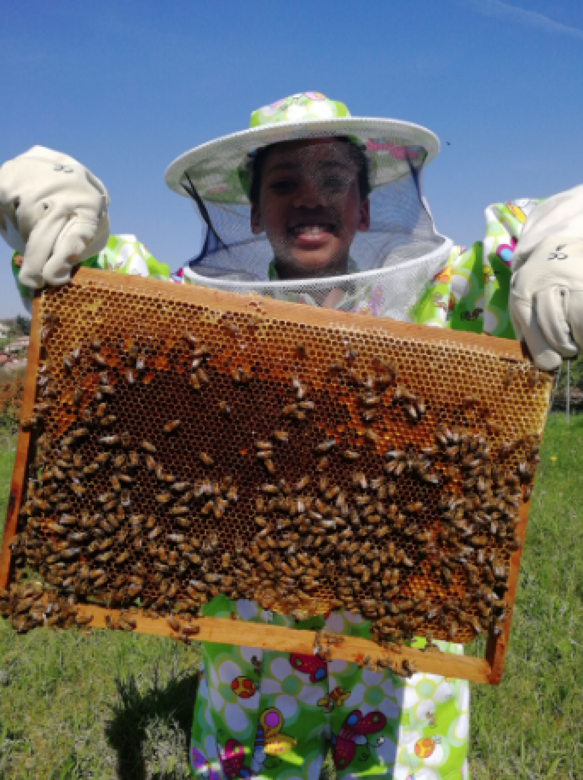 Wecandoo - Découvrez l'apiculture