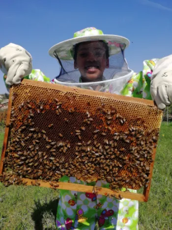 Wecandoo - Découvrez l'apiculture