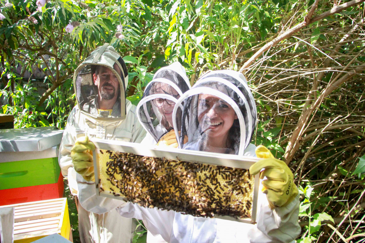 Wecandoo - Initiez-vous à l'apiculture