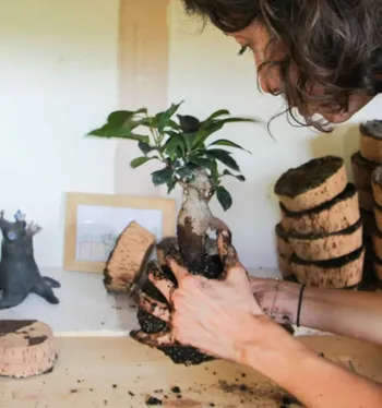 Créez votre Kokedama