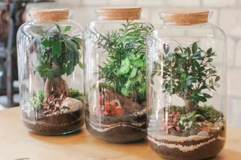 Wecandoo - Réalisez votre grand terrarium fermé