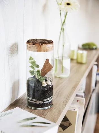 Créez votre petit terrarium