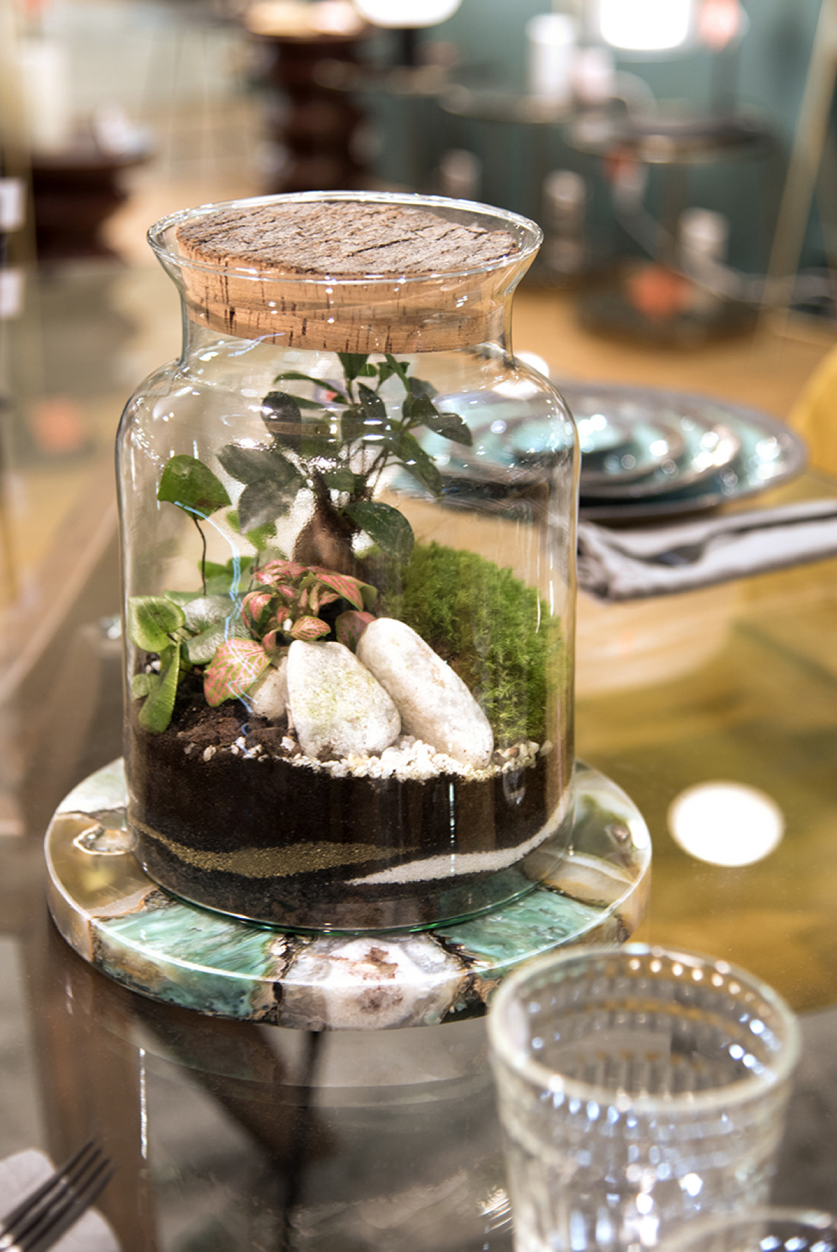 Wecandoo - Réalisez un terrarium