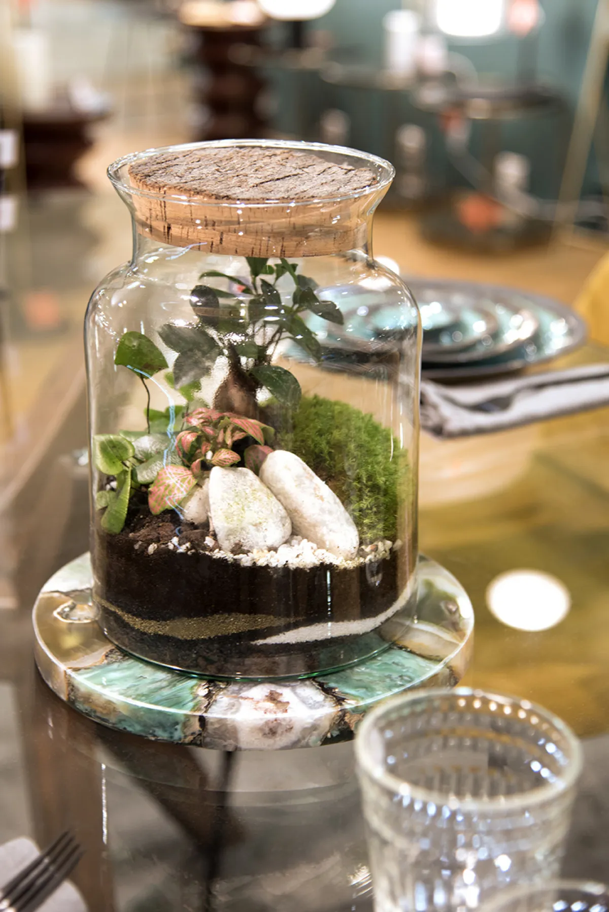 Réalisez un terrarium