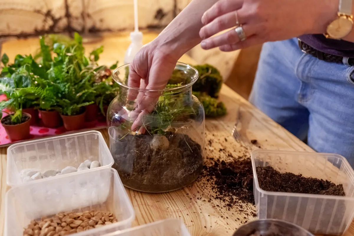Créez et composez votre terrarium