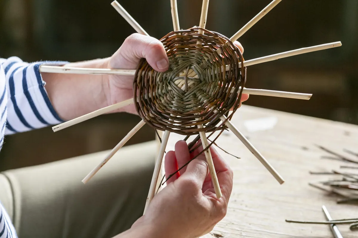 Fabriquez votre corbeille en osier