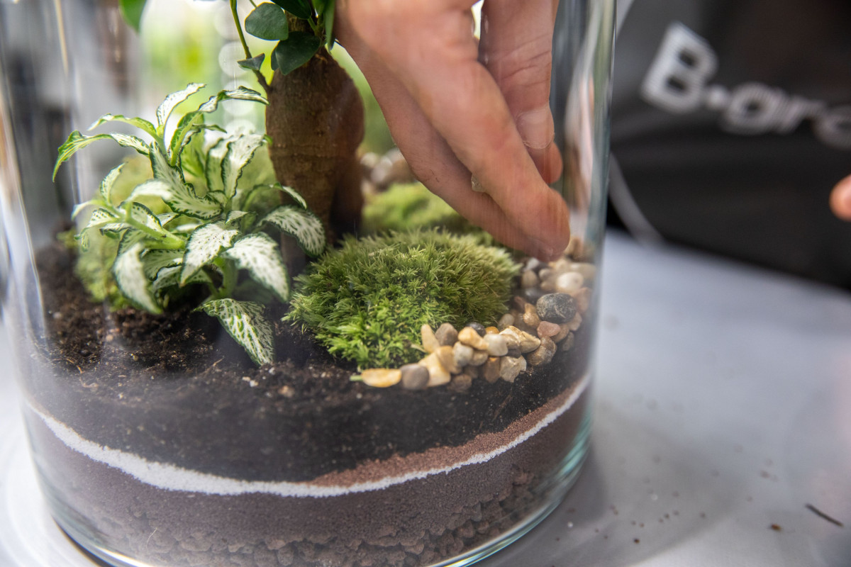 Créez votre terrarium à votre image