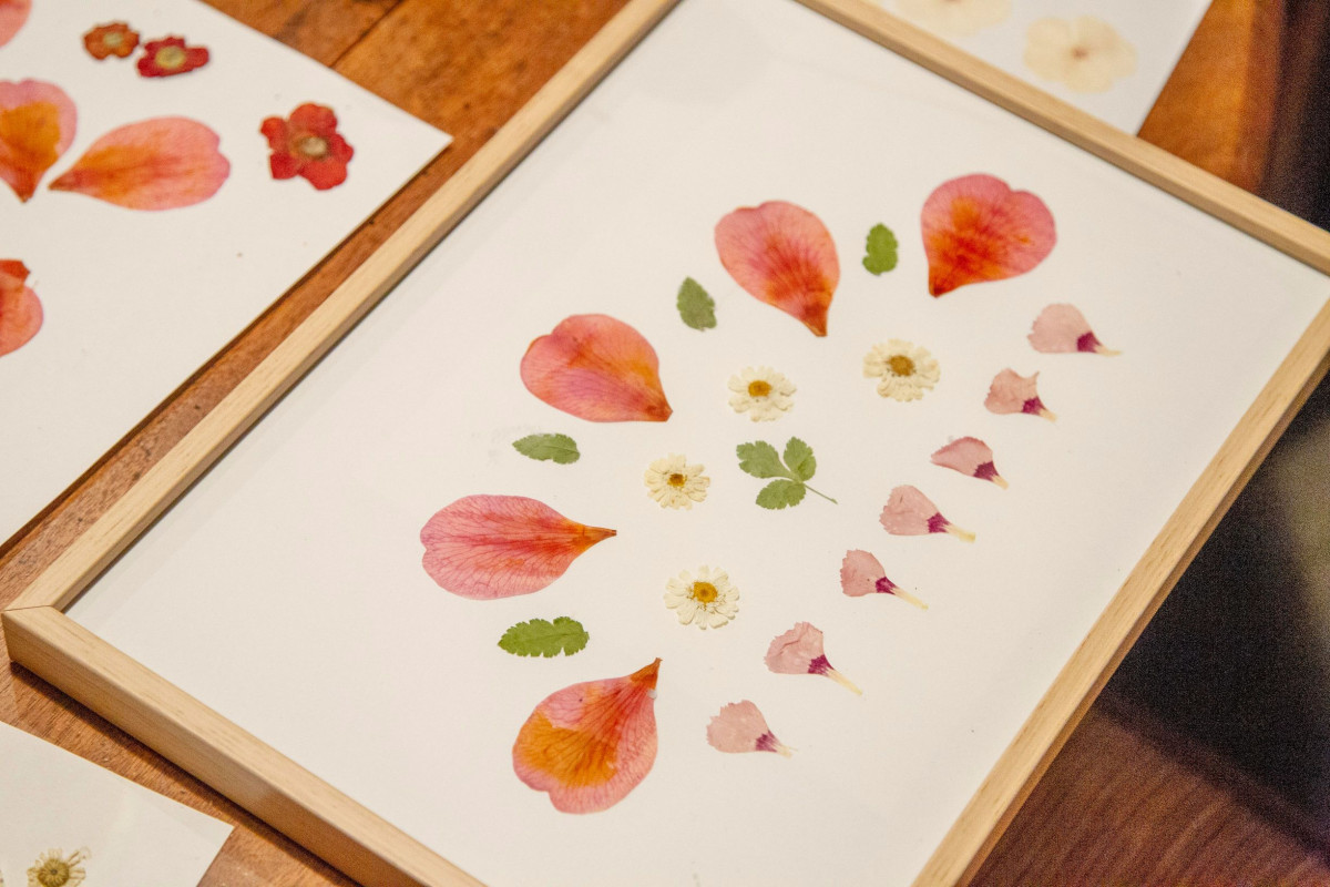 Confectionnez votre herbier