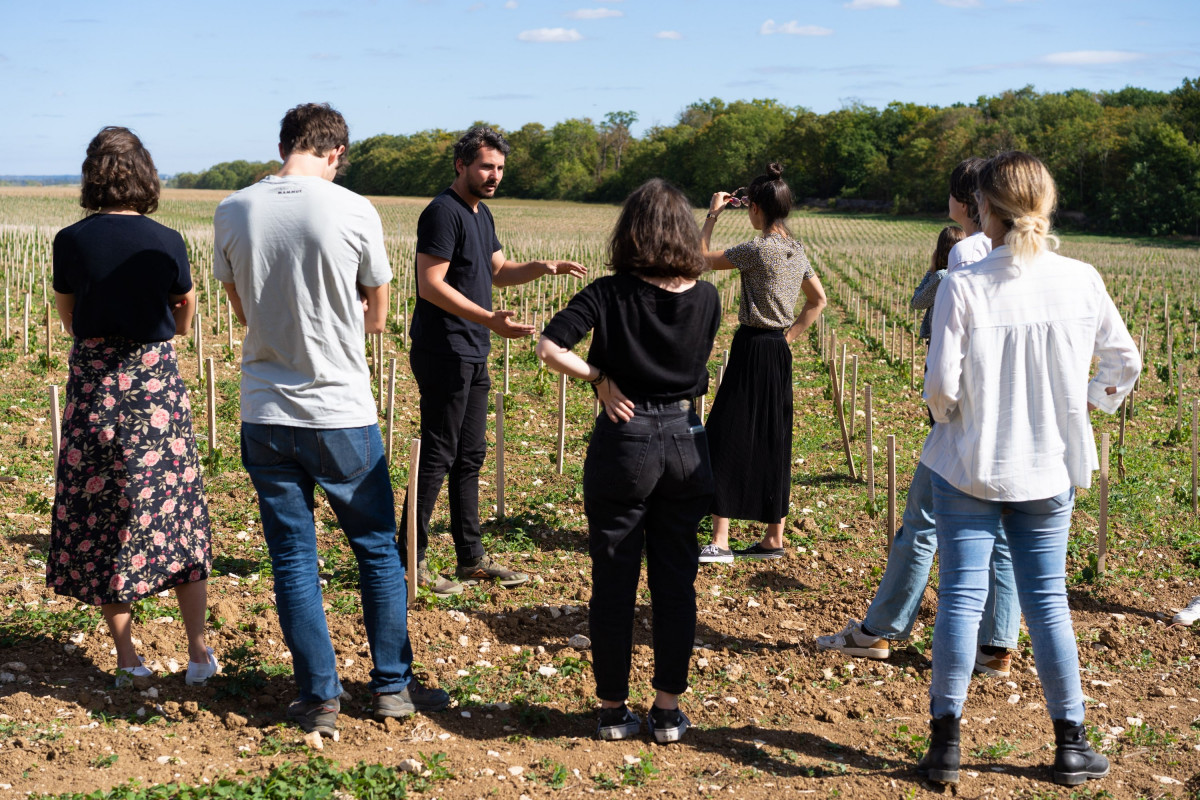 Découvrez la viticulture biologique