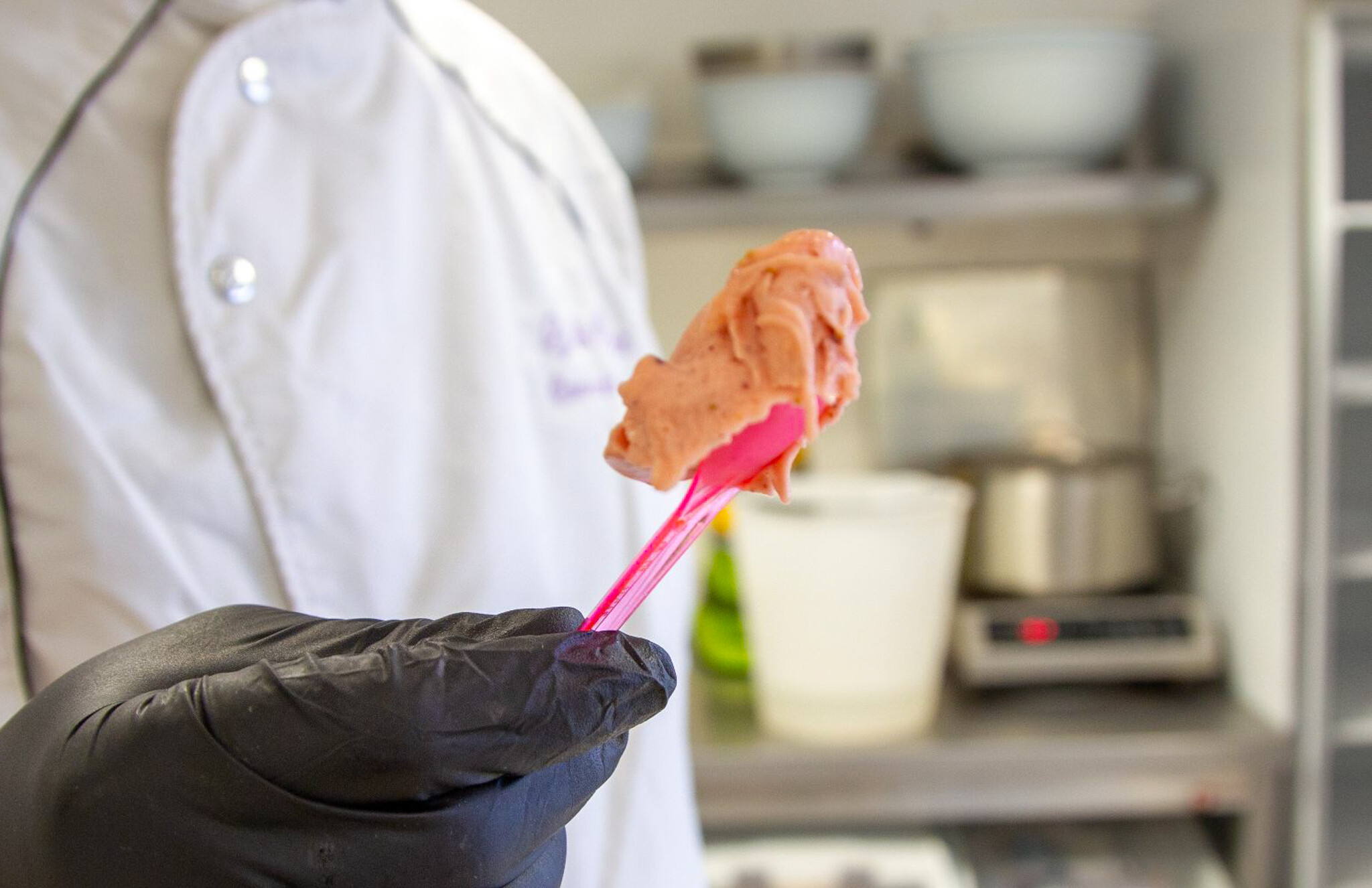 Créez votre crème glacée et votre sorbet