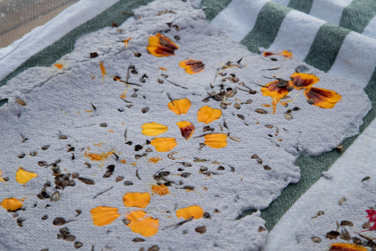 Réalisez votre papier ensemencé