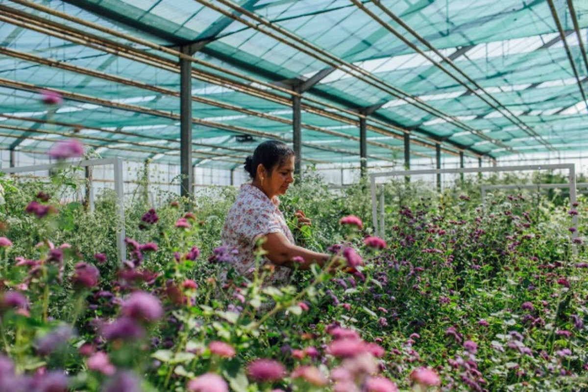 Vivez une journée d'immersion avec une horticultrice