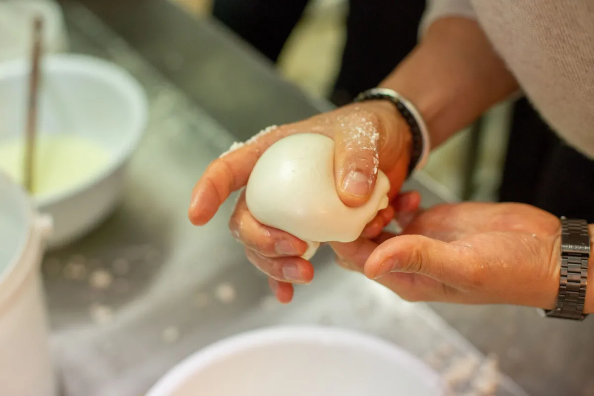 Fabriquez vos burratas et stracciatella
