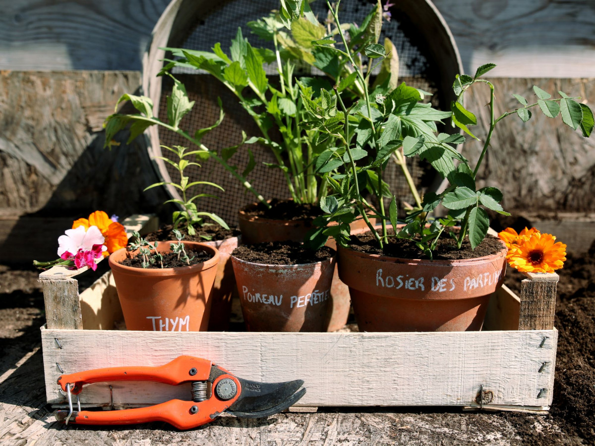 Initiez-vous à la permaculture