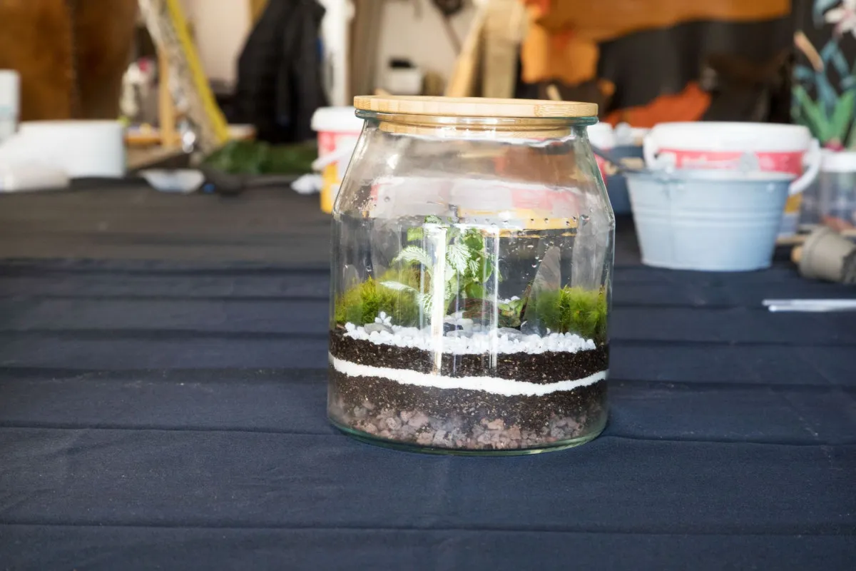 Créez votre terrarium