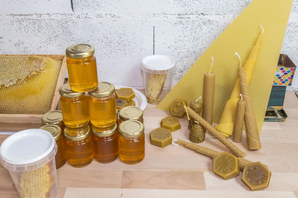 De la ruche à la bougie
