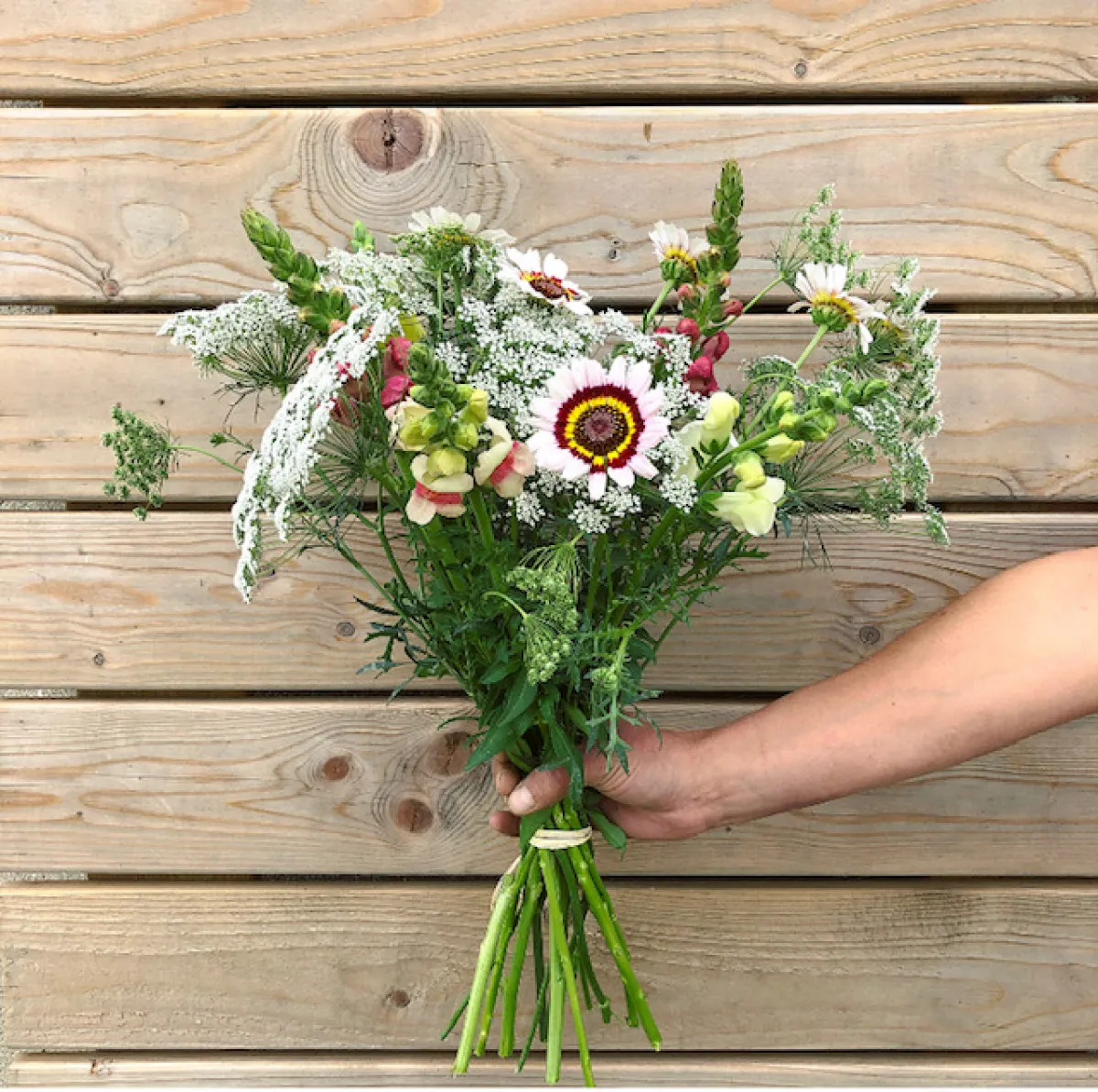 Visitez une ferme horticole