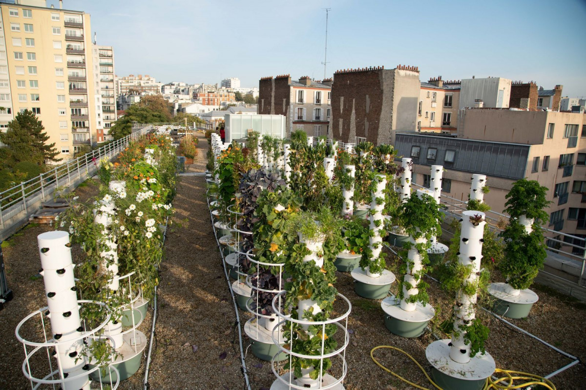Visitez une ferme urbaine en plein Paris