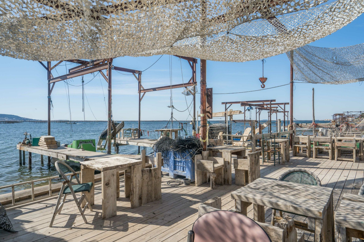 Découvrez une exploitation ostreïcole et dégustation