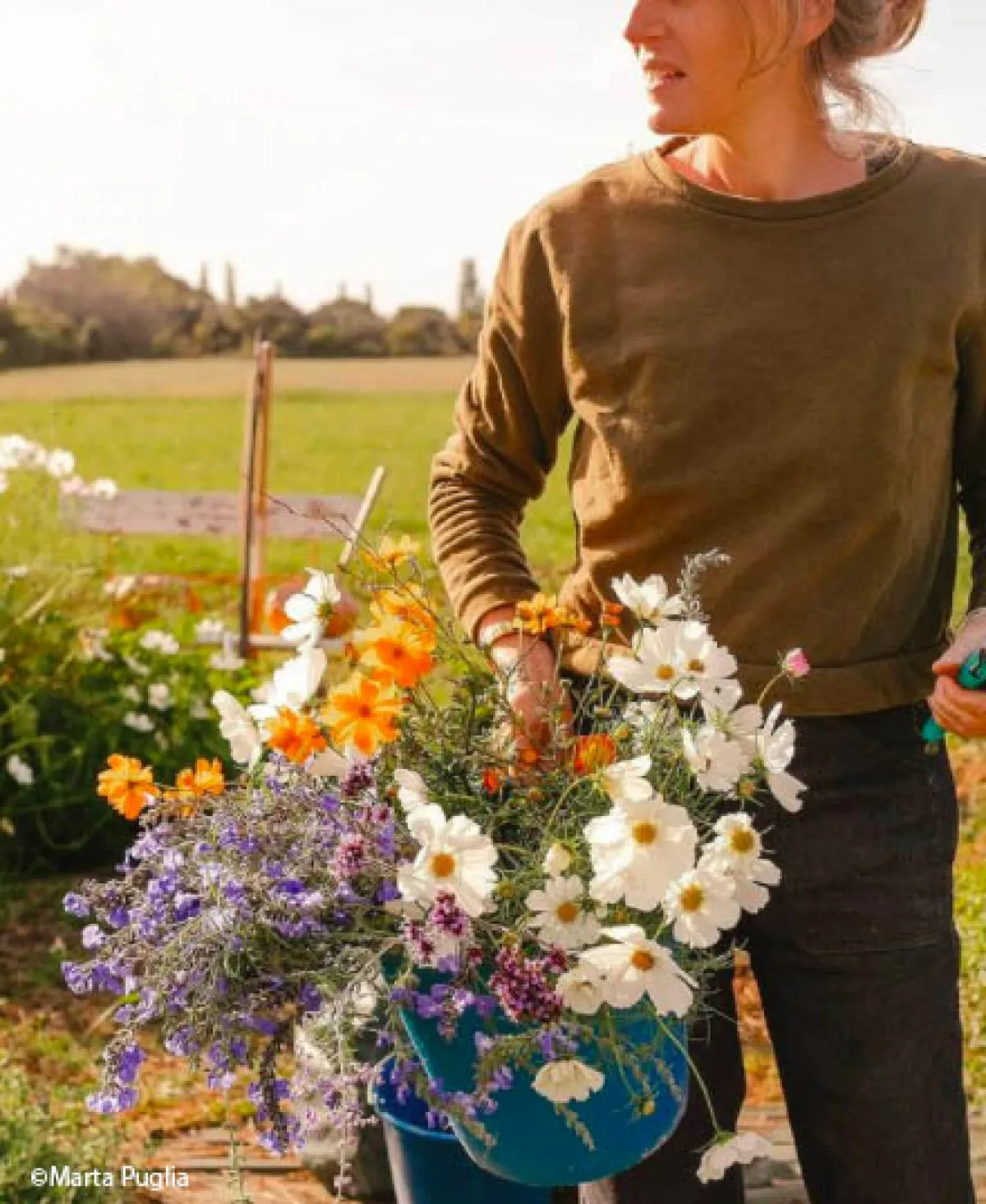 Récoltez et composez votre bouquet